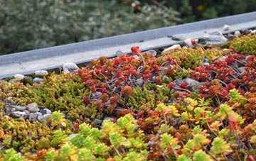 the cost of Nabs Head green roof installation