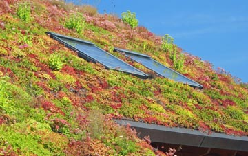 Nabs Head living roof systems