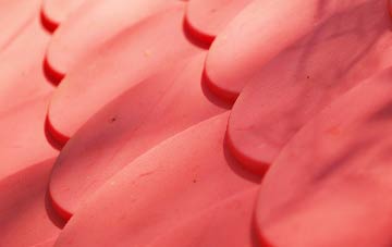 Nabs Head plastic roof costs