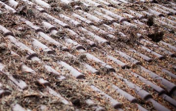 Nabs Head roof cleaning companies