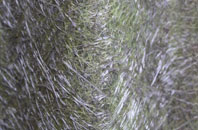 Nabs Head fibreglass roof work